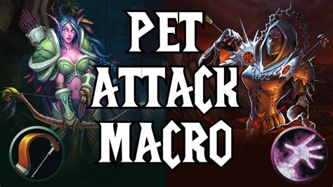 hunter pet attack macro sod.